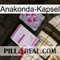 Anaconda Capsule 32